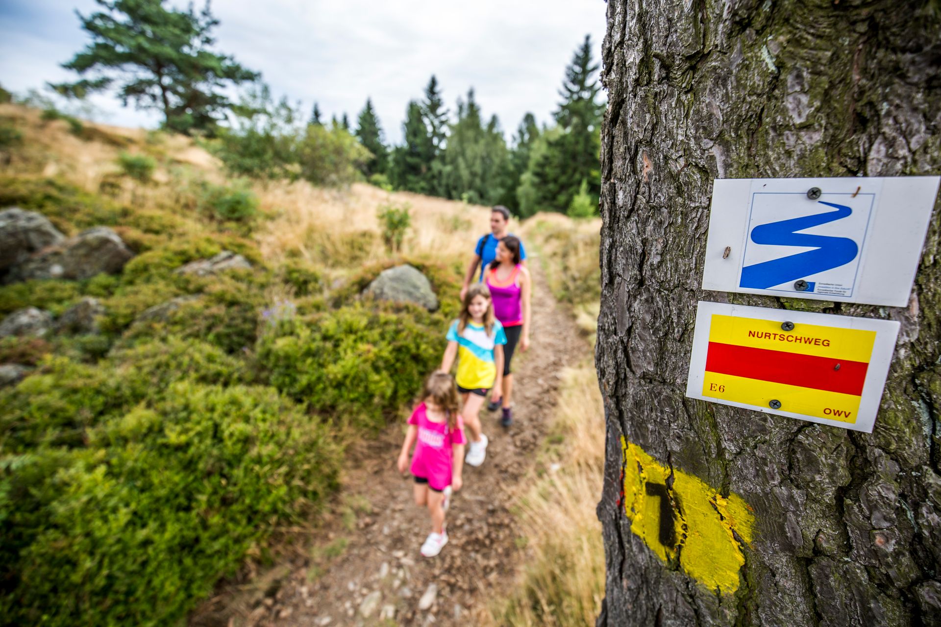 Wandern am Naturdenkmal Hochfels