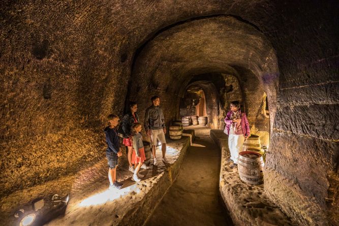 Führung in den historischen Felsenkellern