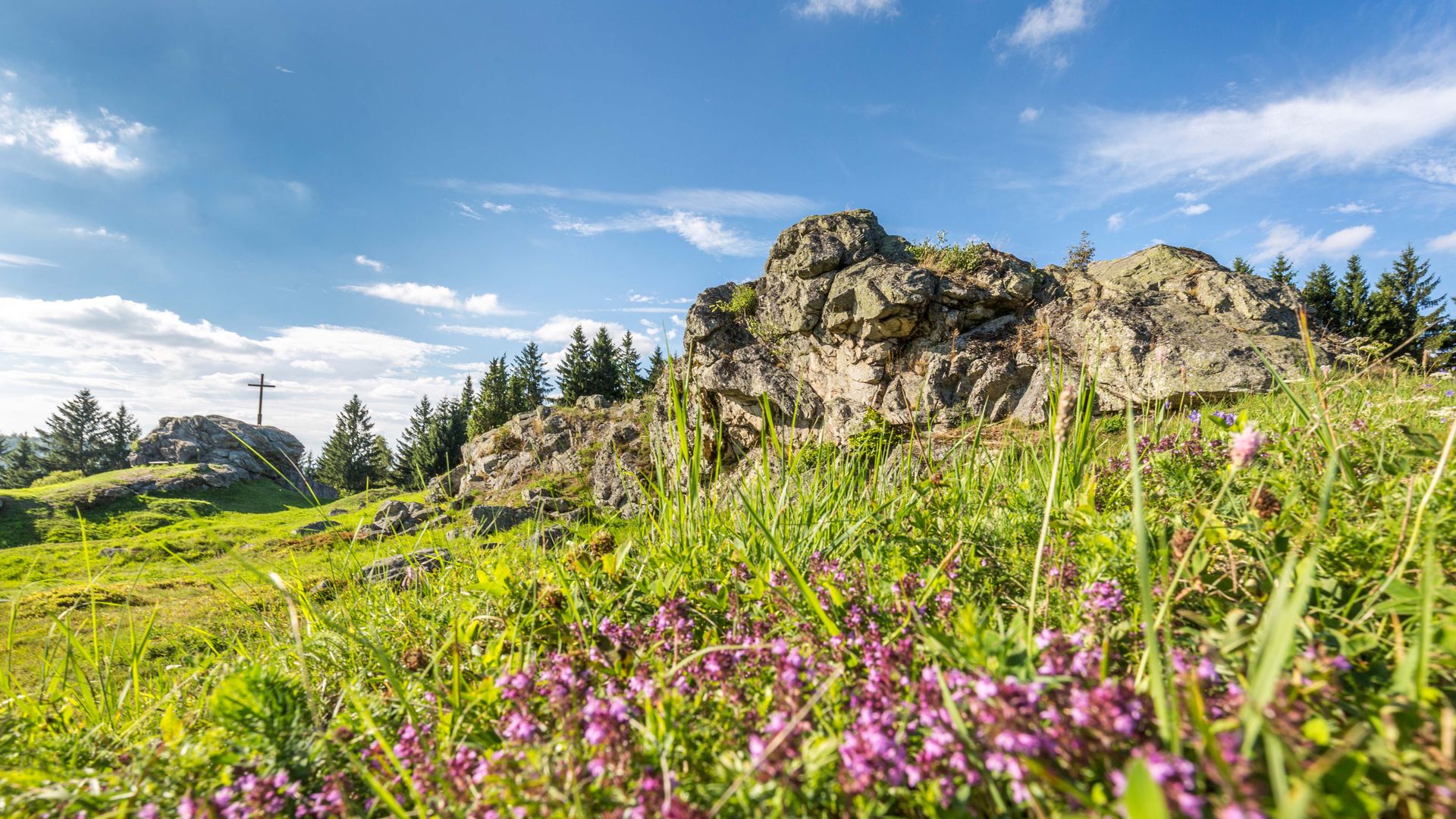 Auf dem 744m hohen Wildenstein