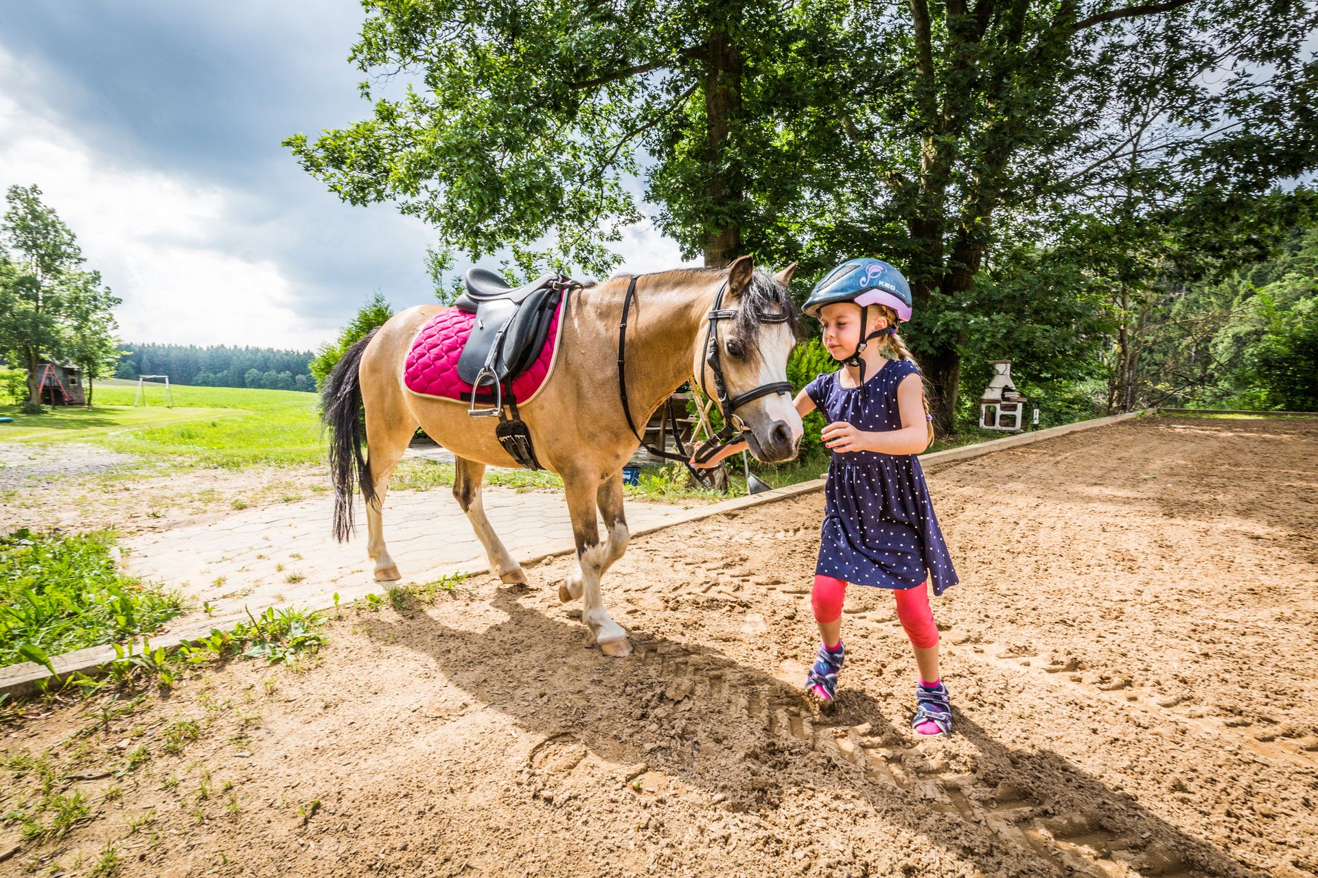 Reiten auf dem Birkholmhof