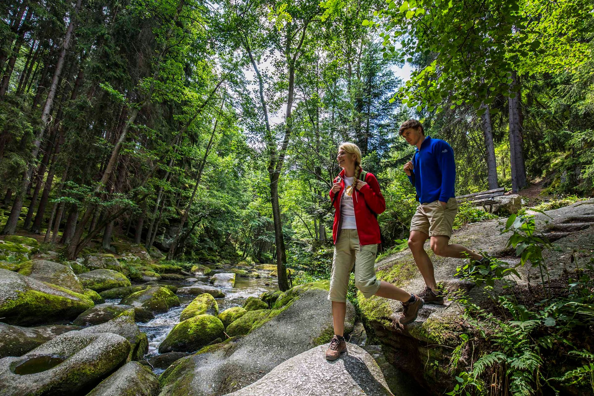 Wandern im Waldnaabtal