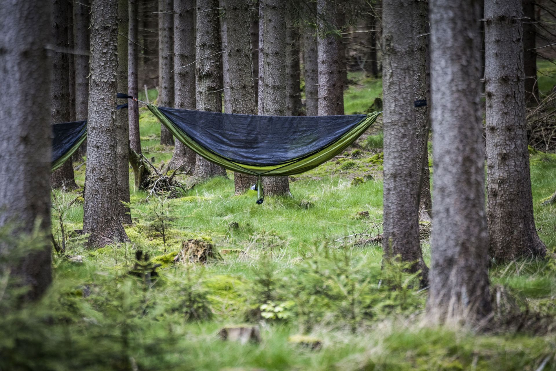 Hängematte im Wald