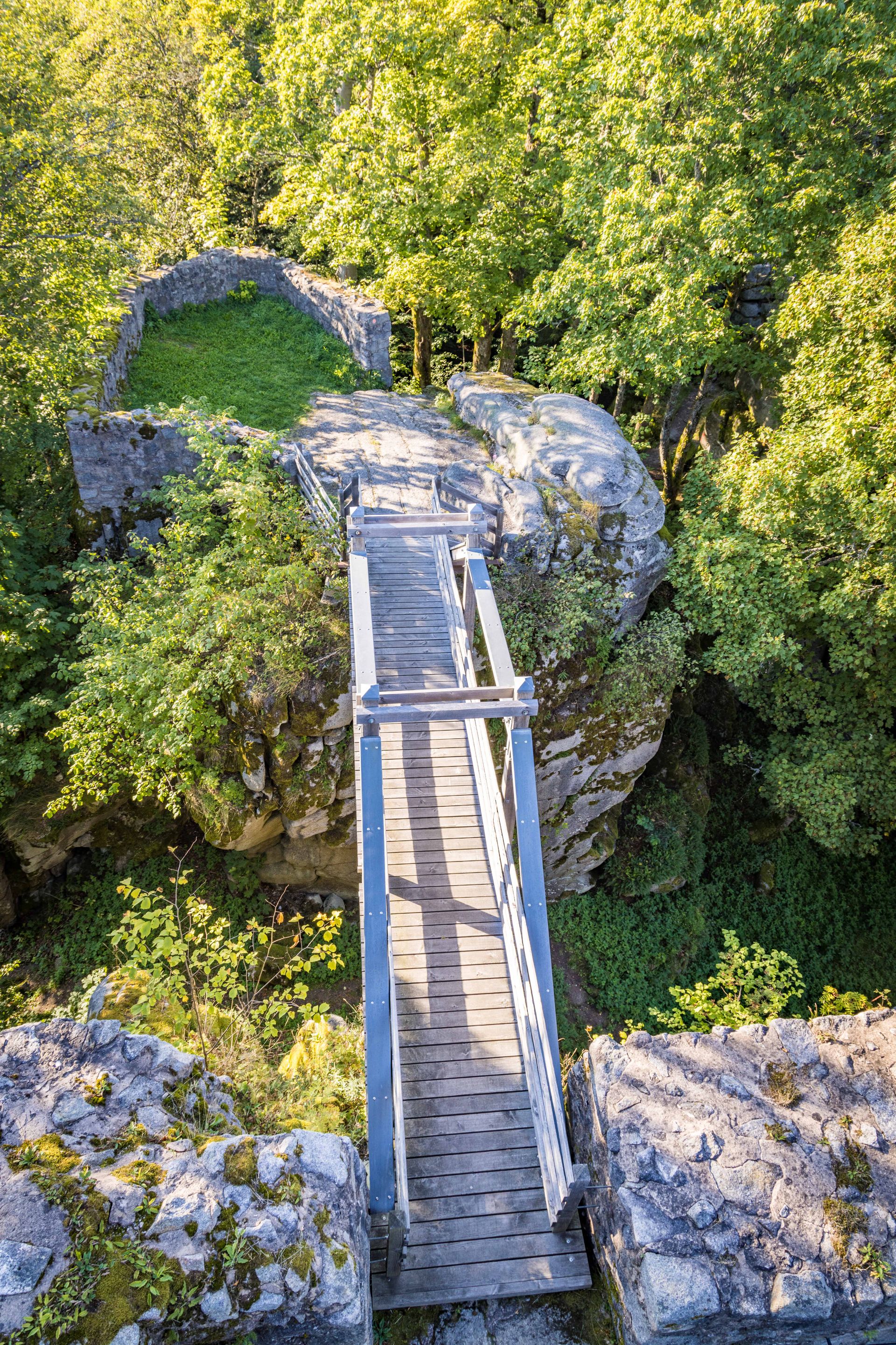 Burgruine Schellenberg