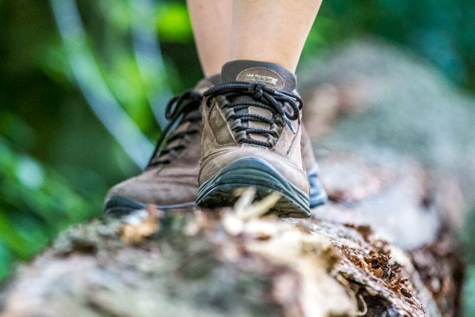 Wandern im Oberpfälzer Wald