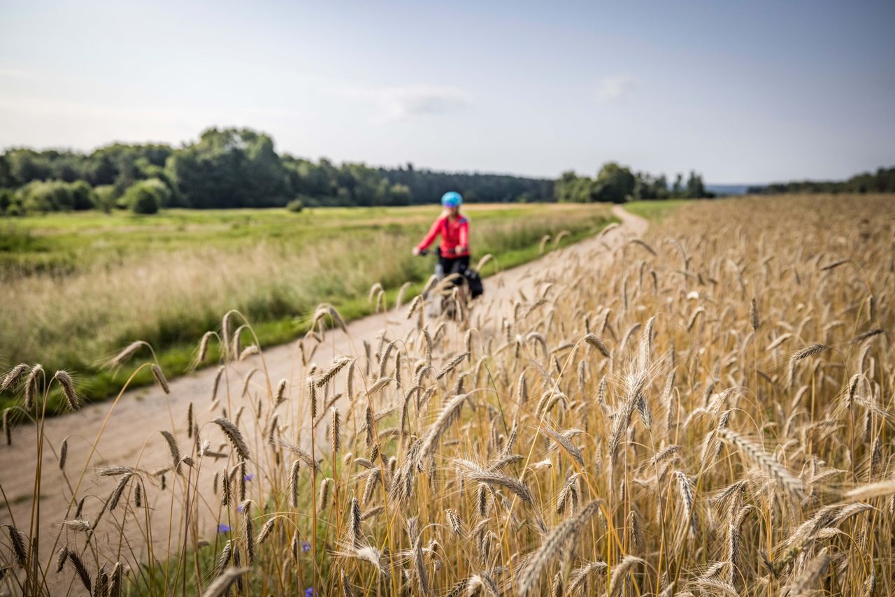 Sommerlicher Radlspaß