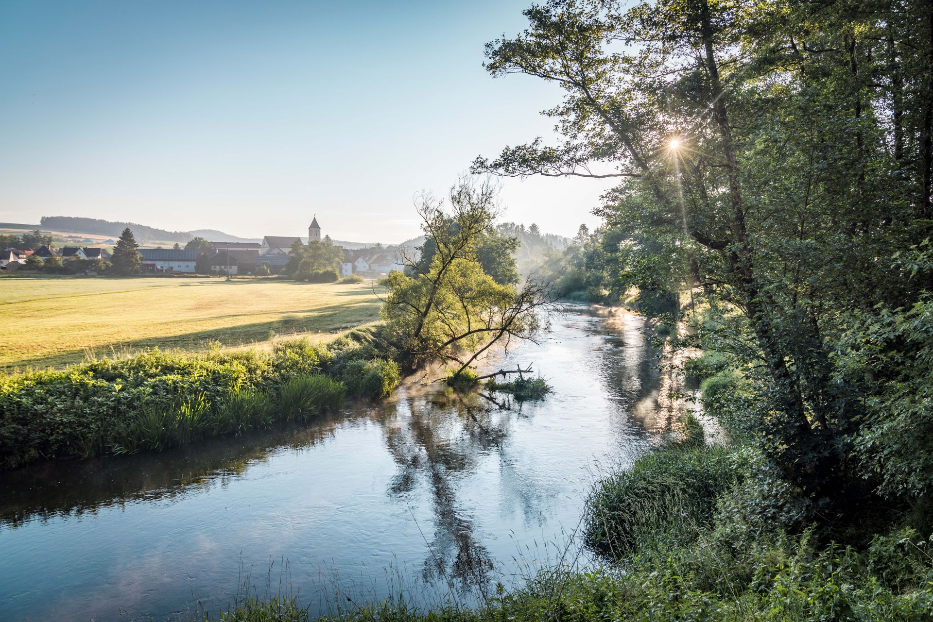 Morgenstimmung an der Schwarzach