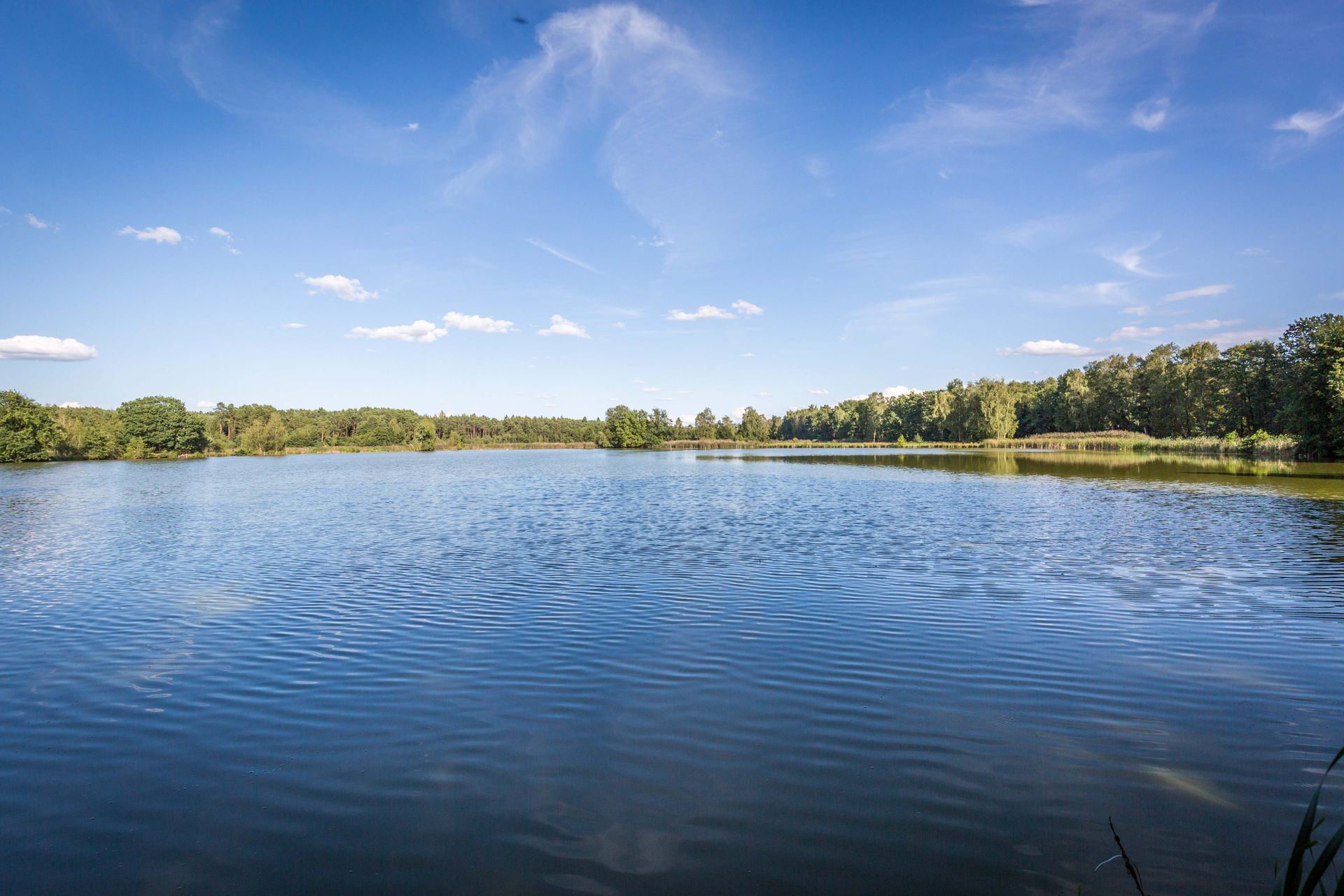 Karpfenland Mittlere Oberpfalz