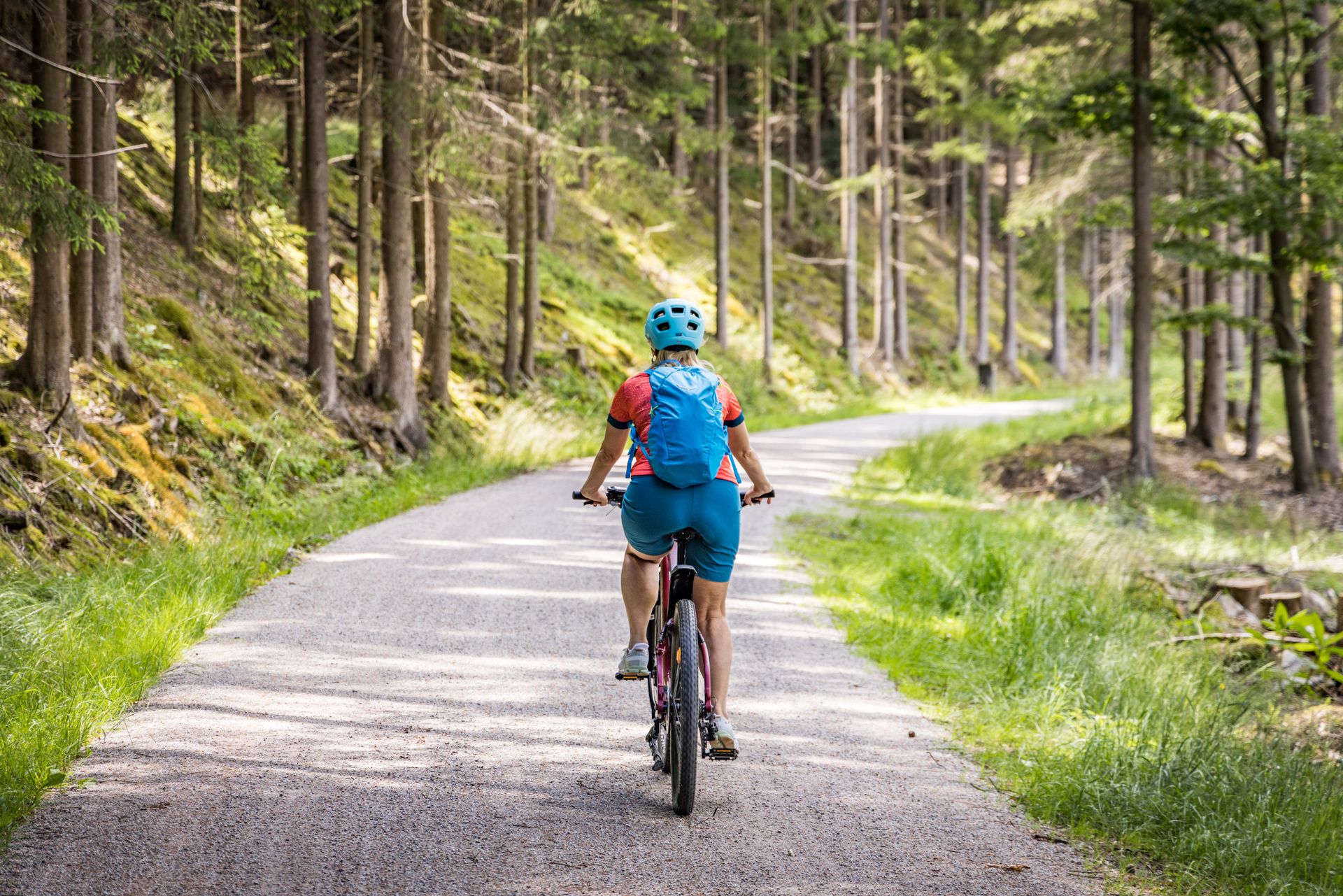 Radfahren im Wald