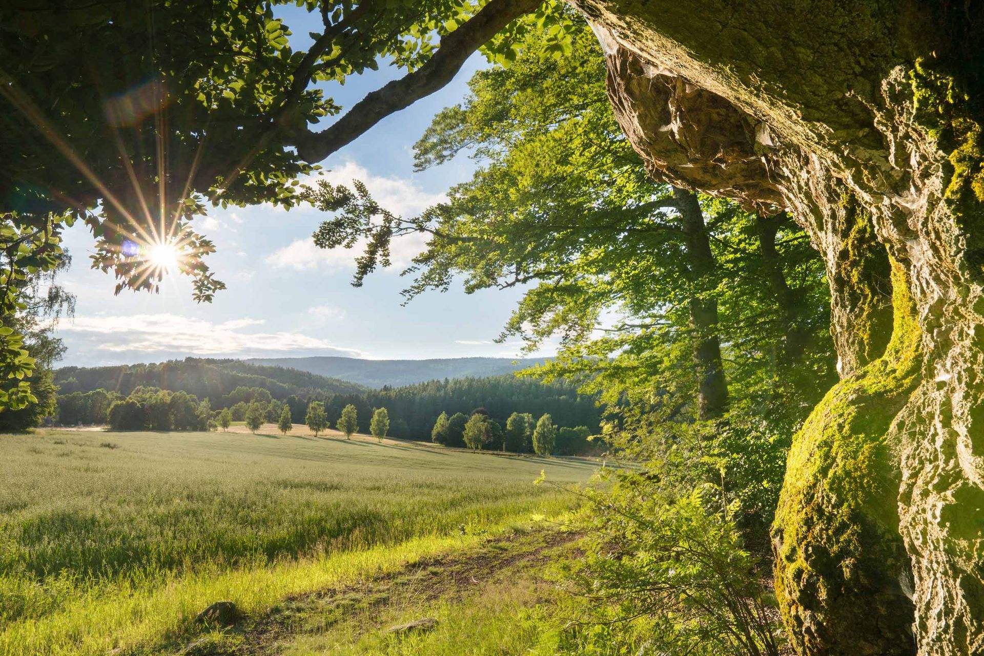 Herrliche Natur rund um Friedenfels