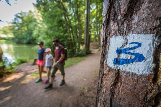 Wandern am Goldsteig-Wegenetz