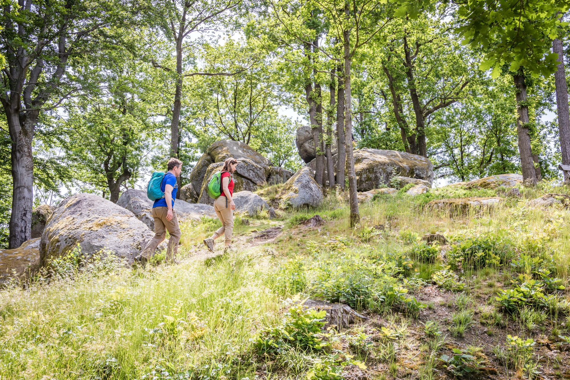 Druidenstein Schönbuchenweg