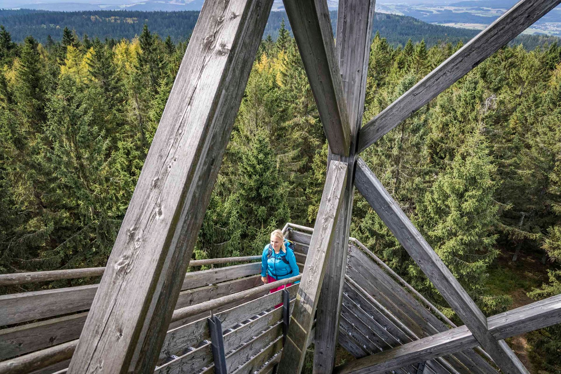 Oberpfalzturm im Naturpark Steinwald