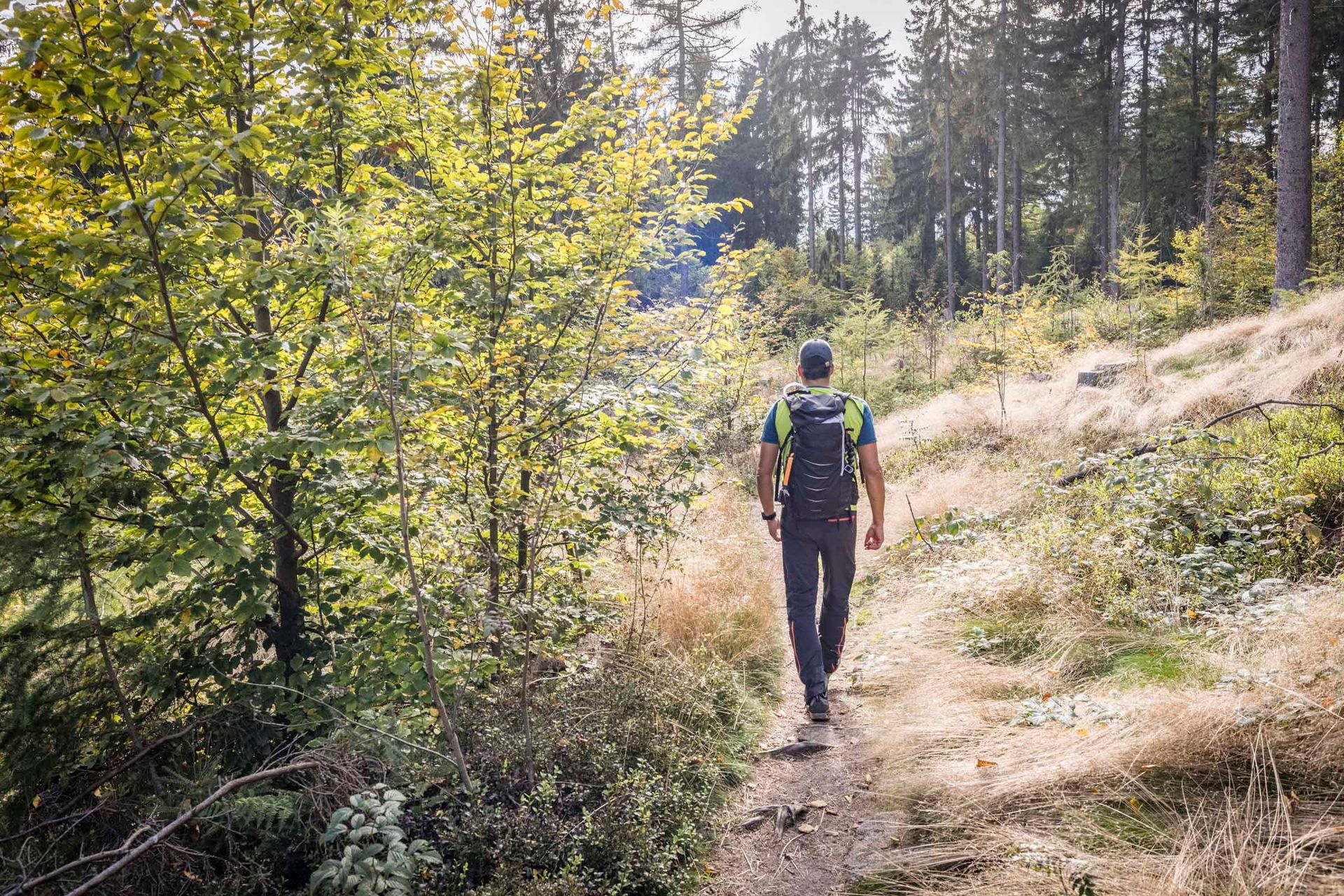 Wanderer im Naturpark Steinwald