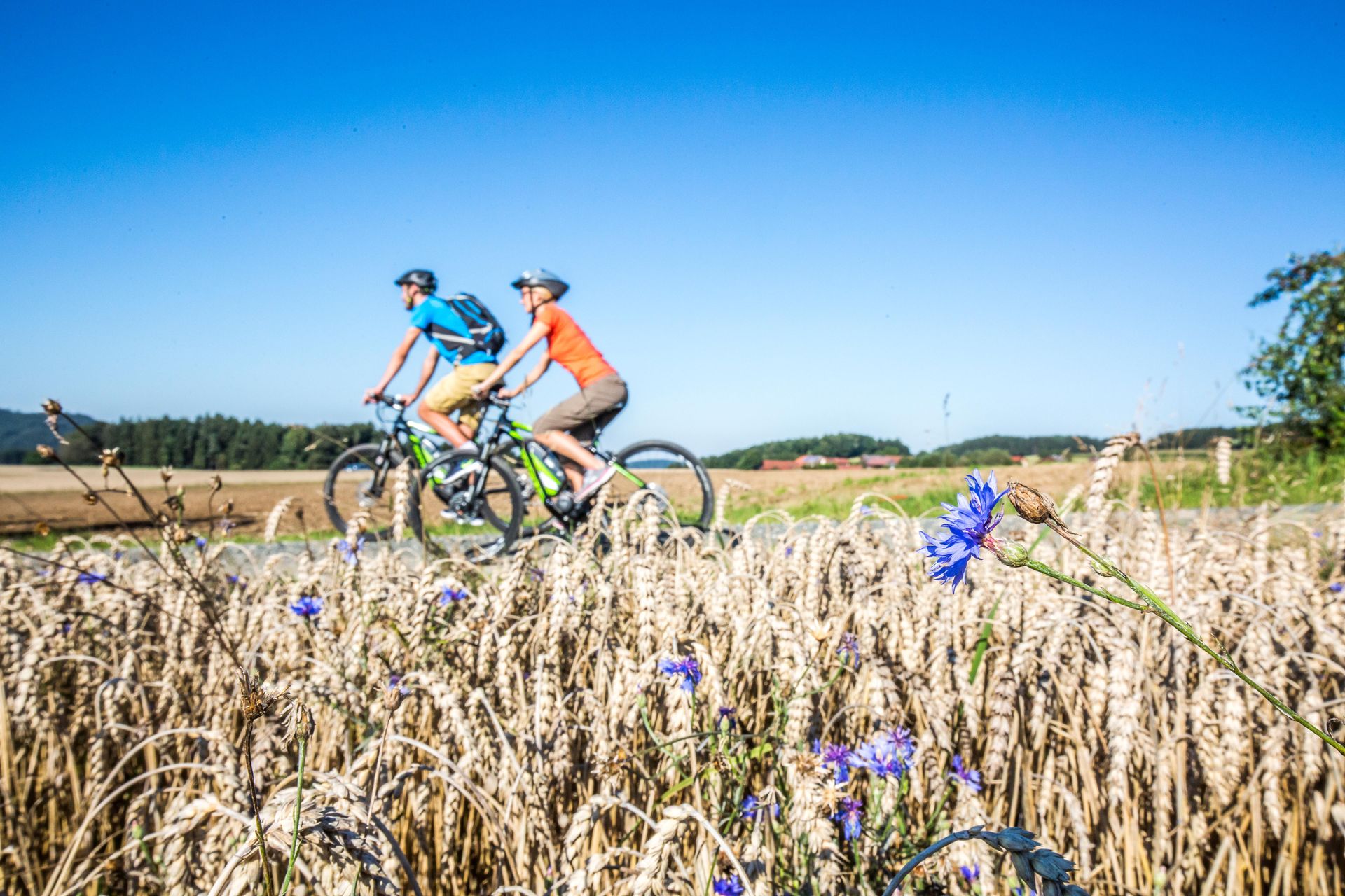 Sommerlicher Radlspaß