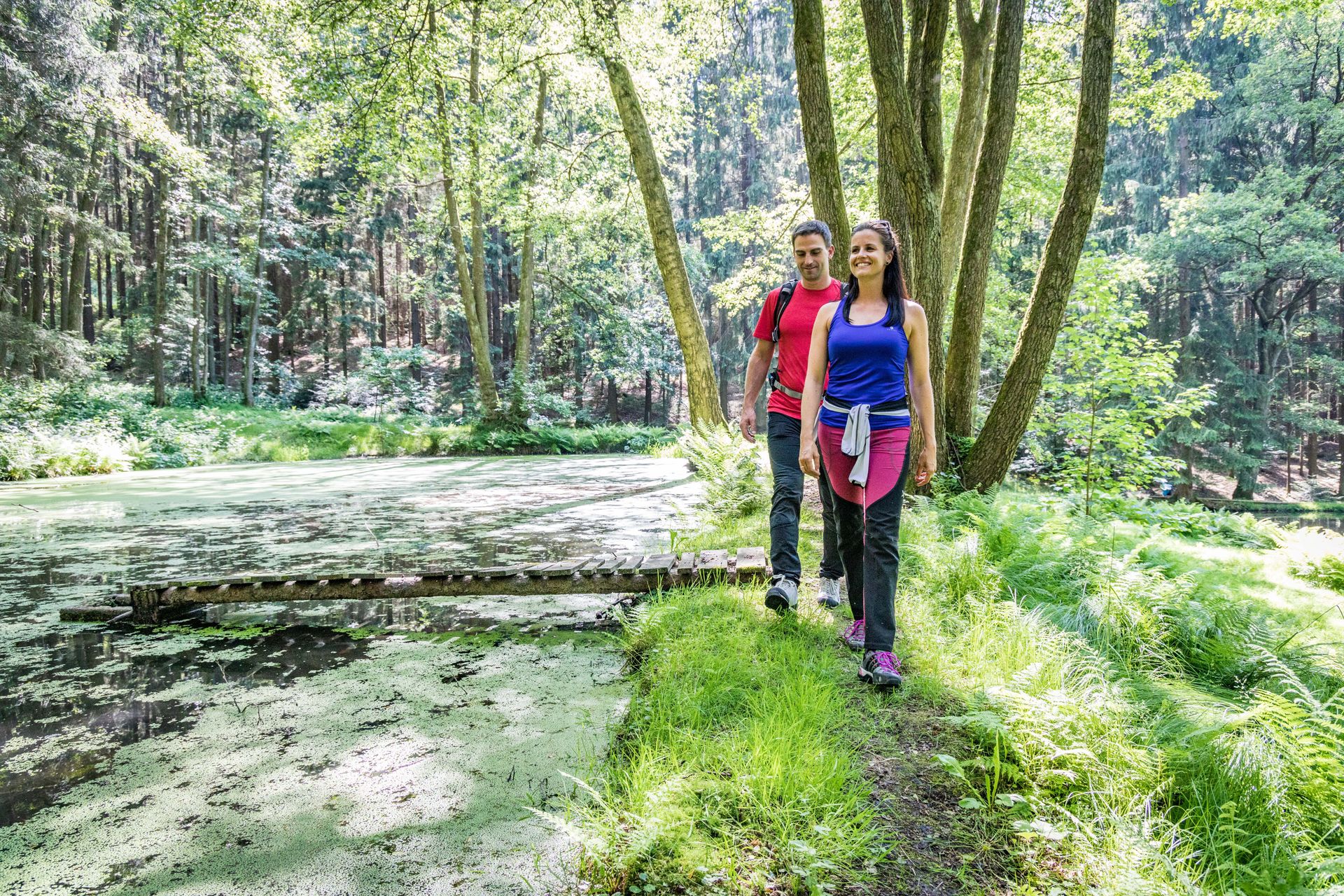 Ursprüngliche Natur bei Oberviechtach