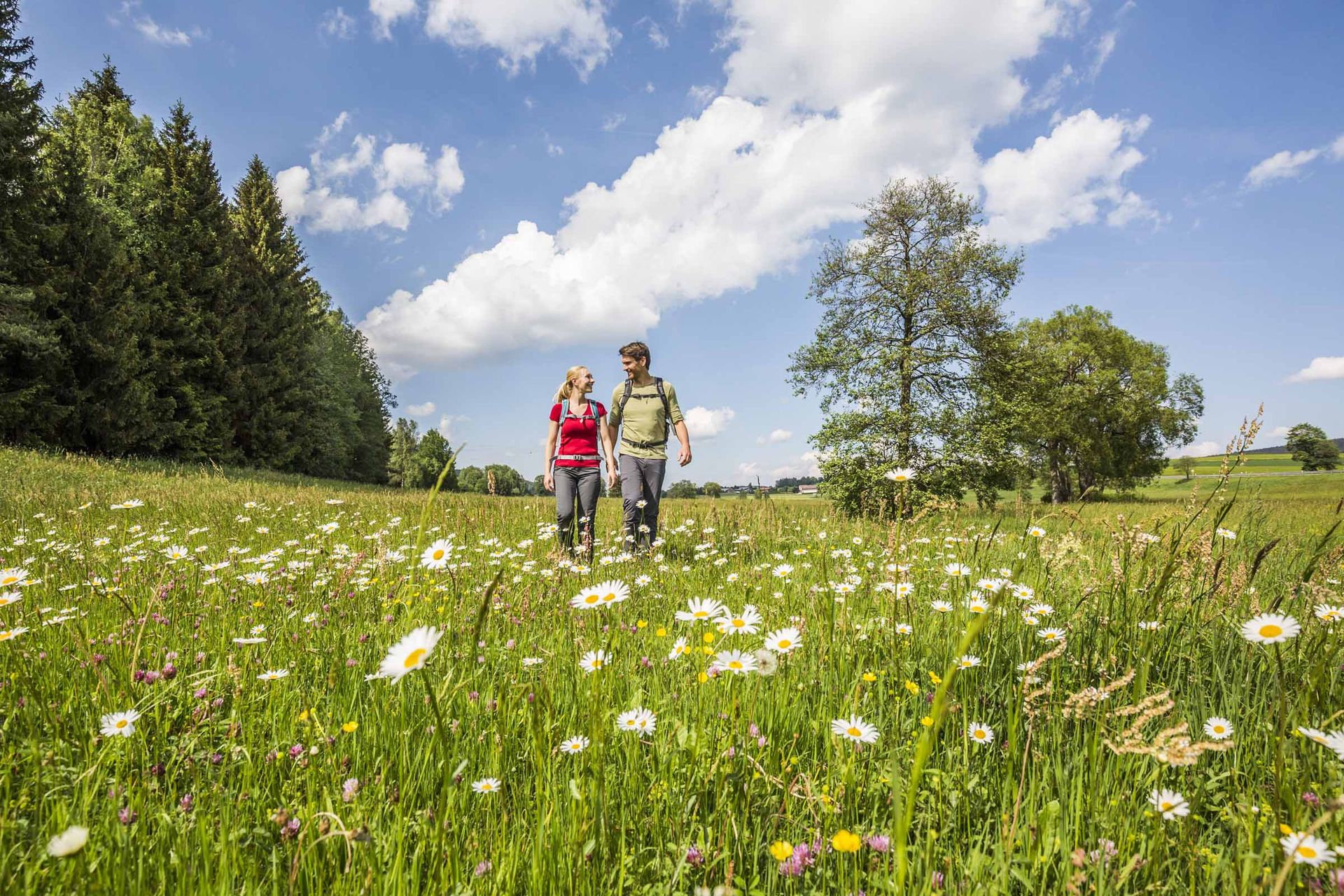 Wandern im Aschatal