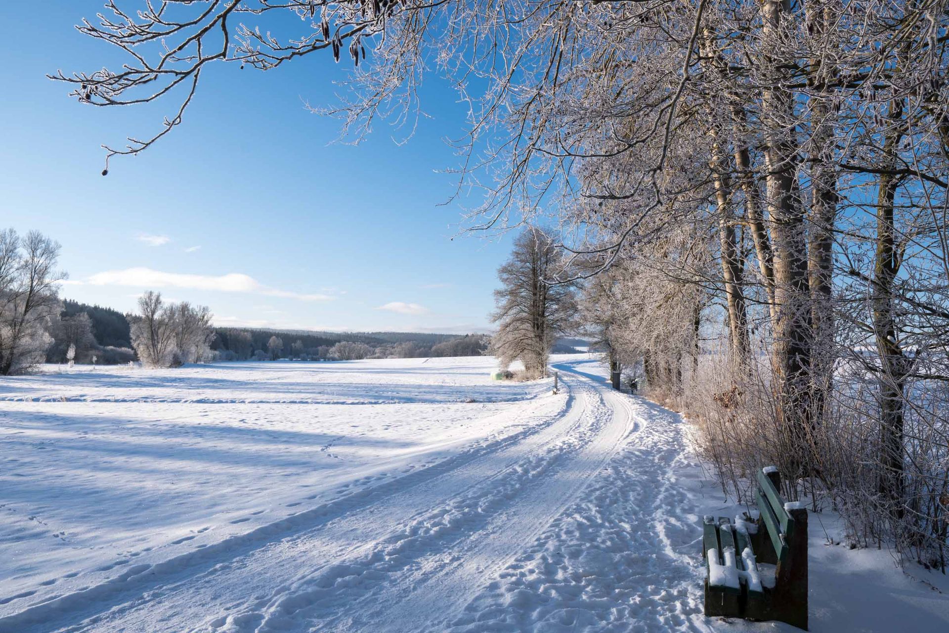 Winterwandern rund um Waldsassen