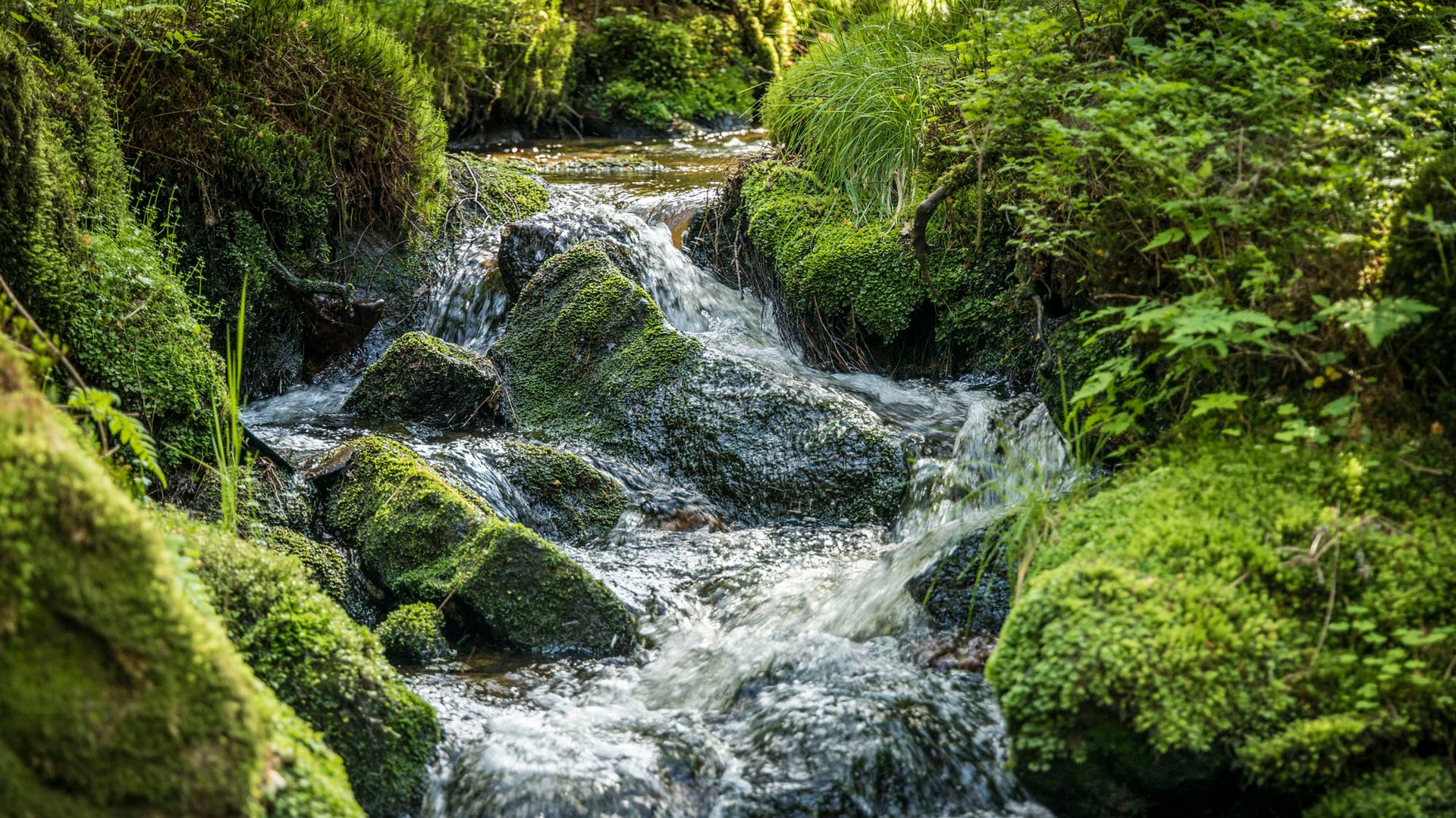 Wasserreiches Waldnaabtal