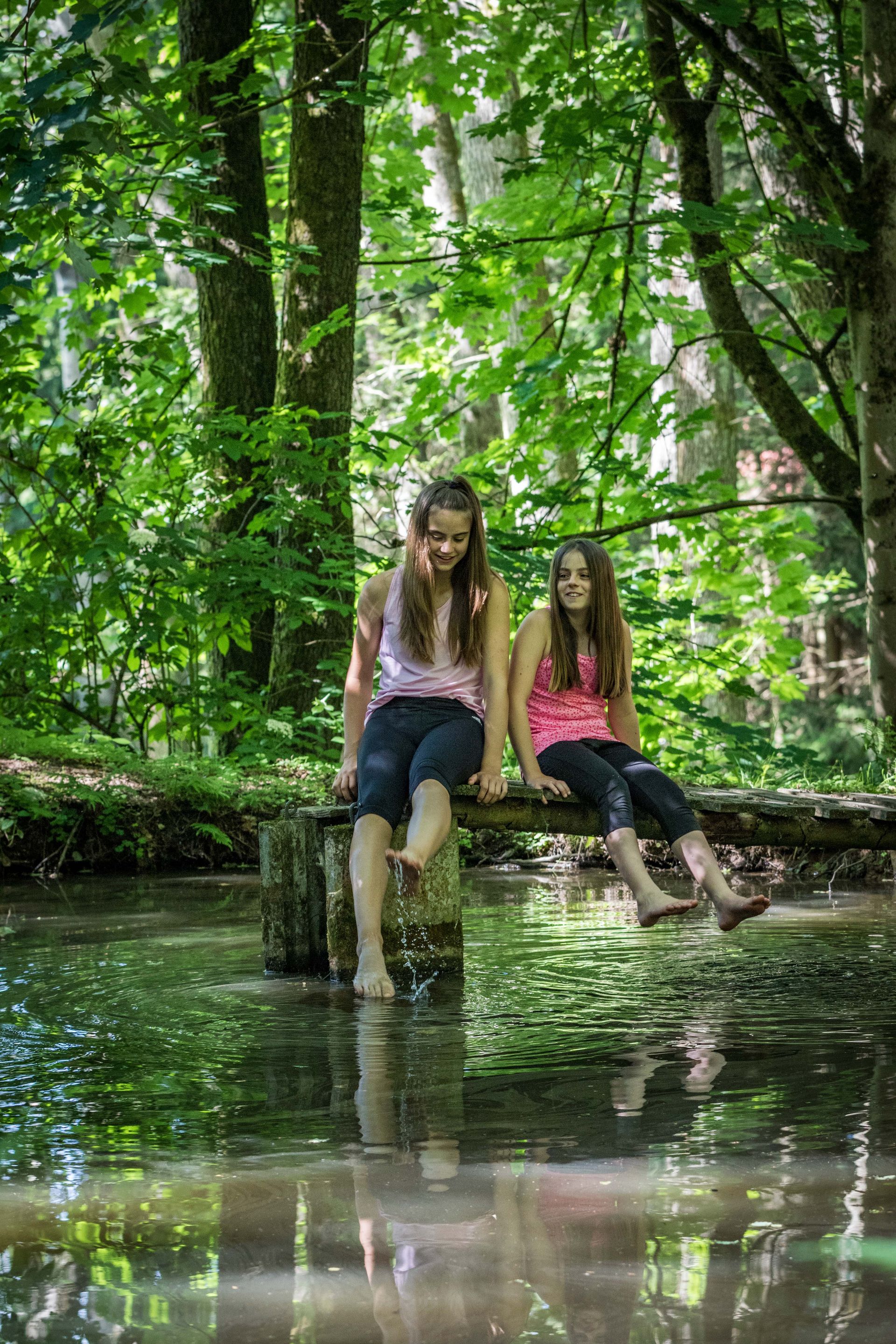 Abkühlung im Wald