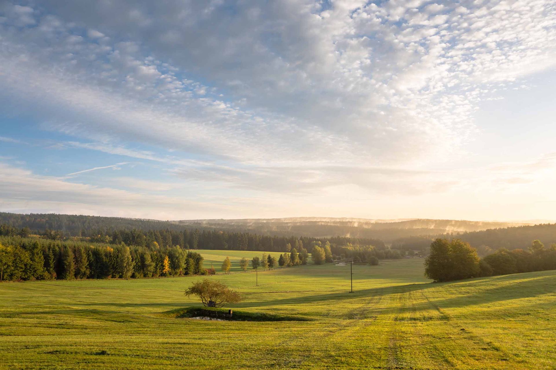 Nurtschweg bei Herrmannsreuth