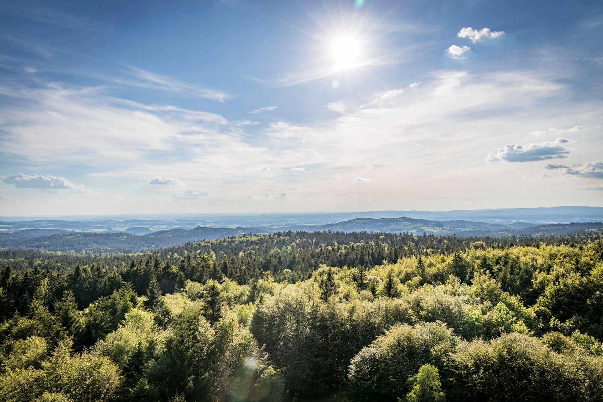 Panorama über den Oberpfälzer Wald