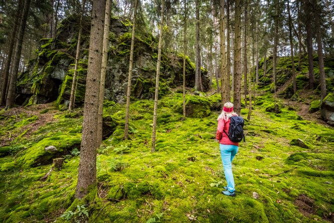 Wandern im Waldnaabtal