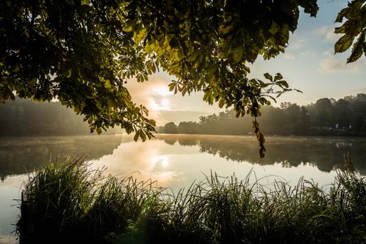 Morgenstimmung am Hammersee