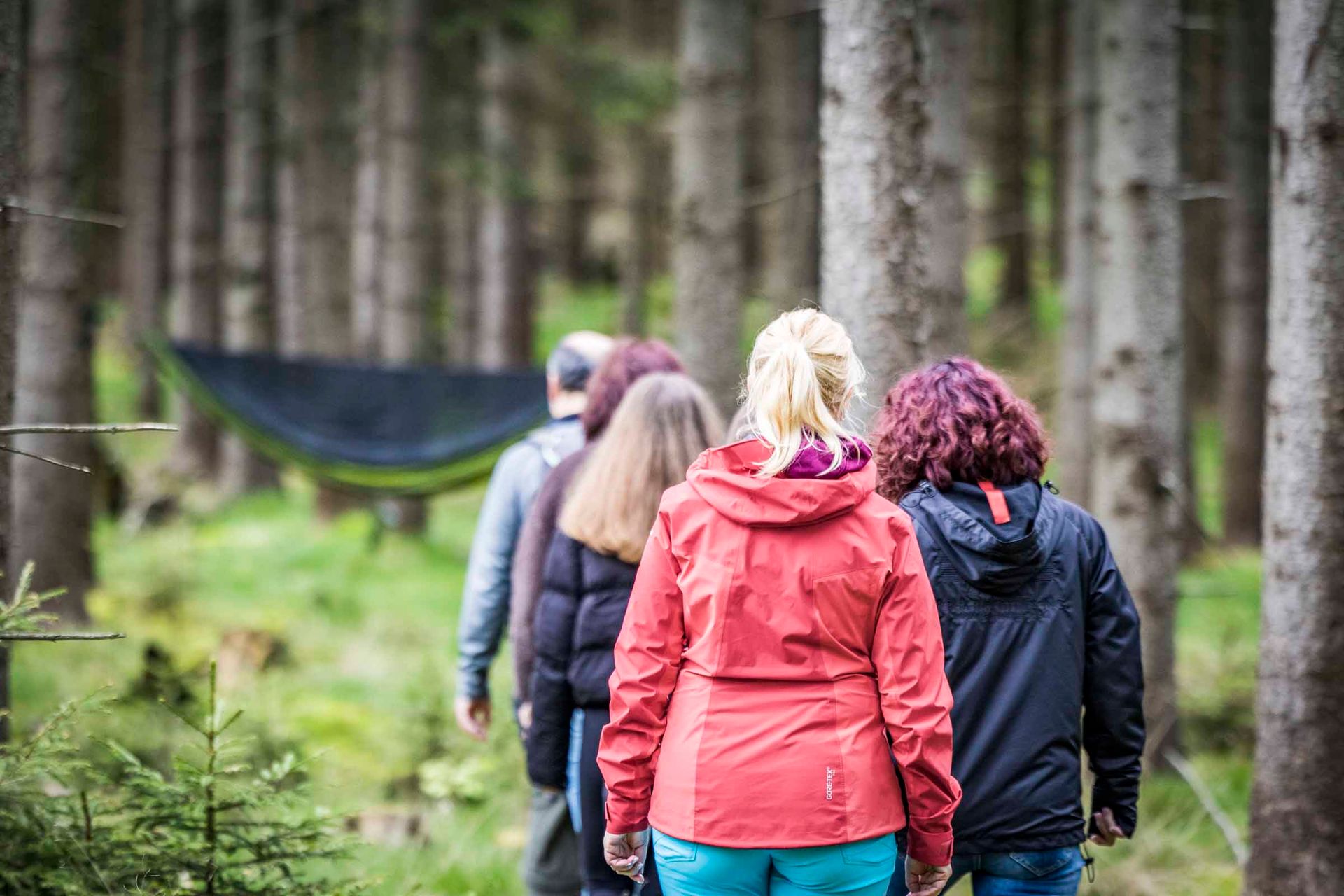 Gruppe nähert sich Hängematten im Wald