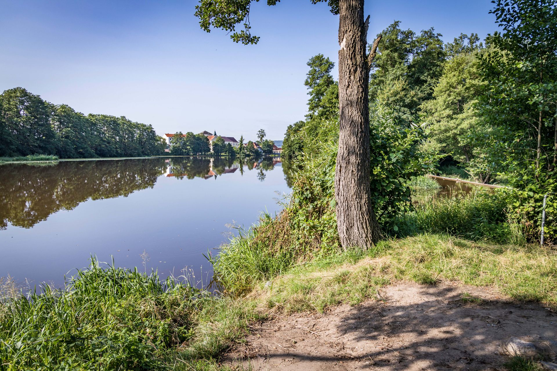 Naab bei Schwandorf