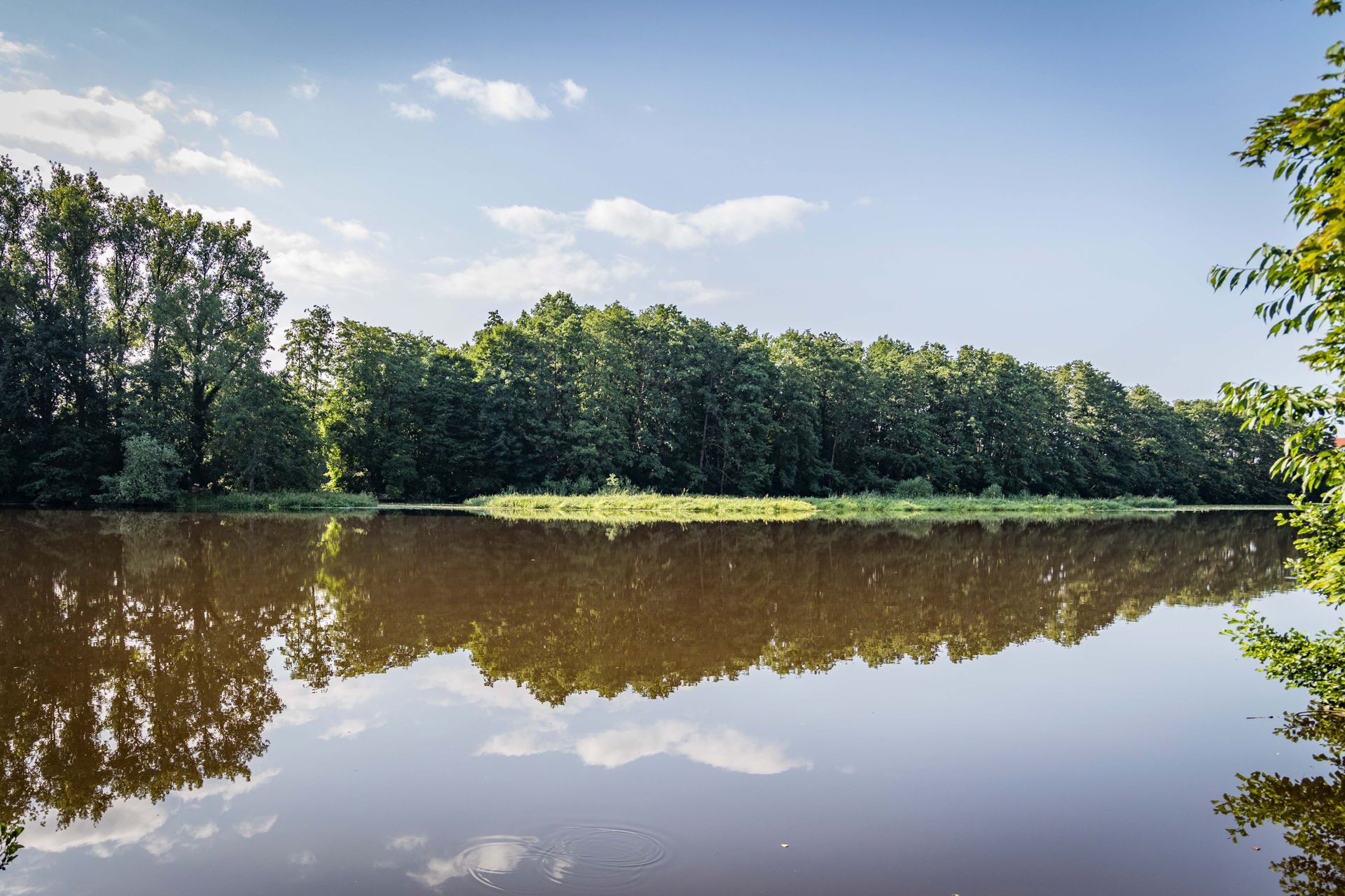 Flusslandschaft an der Naab bei Schwandorf