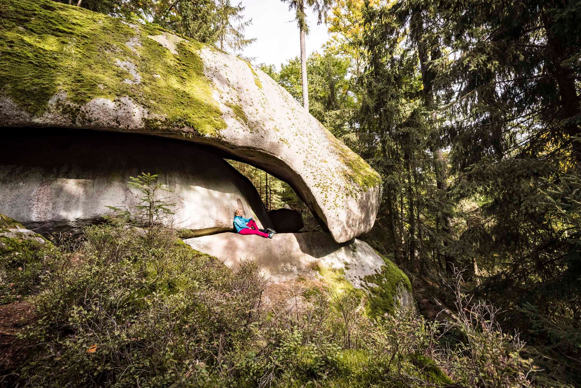 Kiebitzstein im Naturpark Steinwald