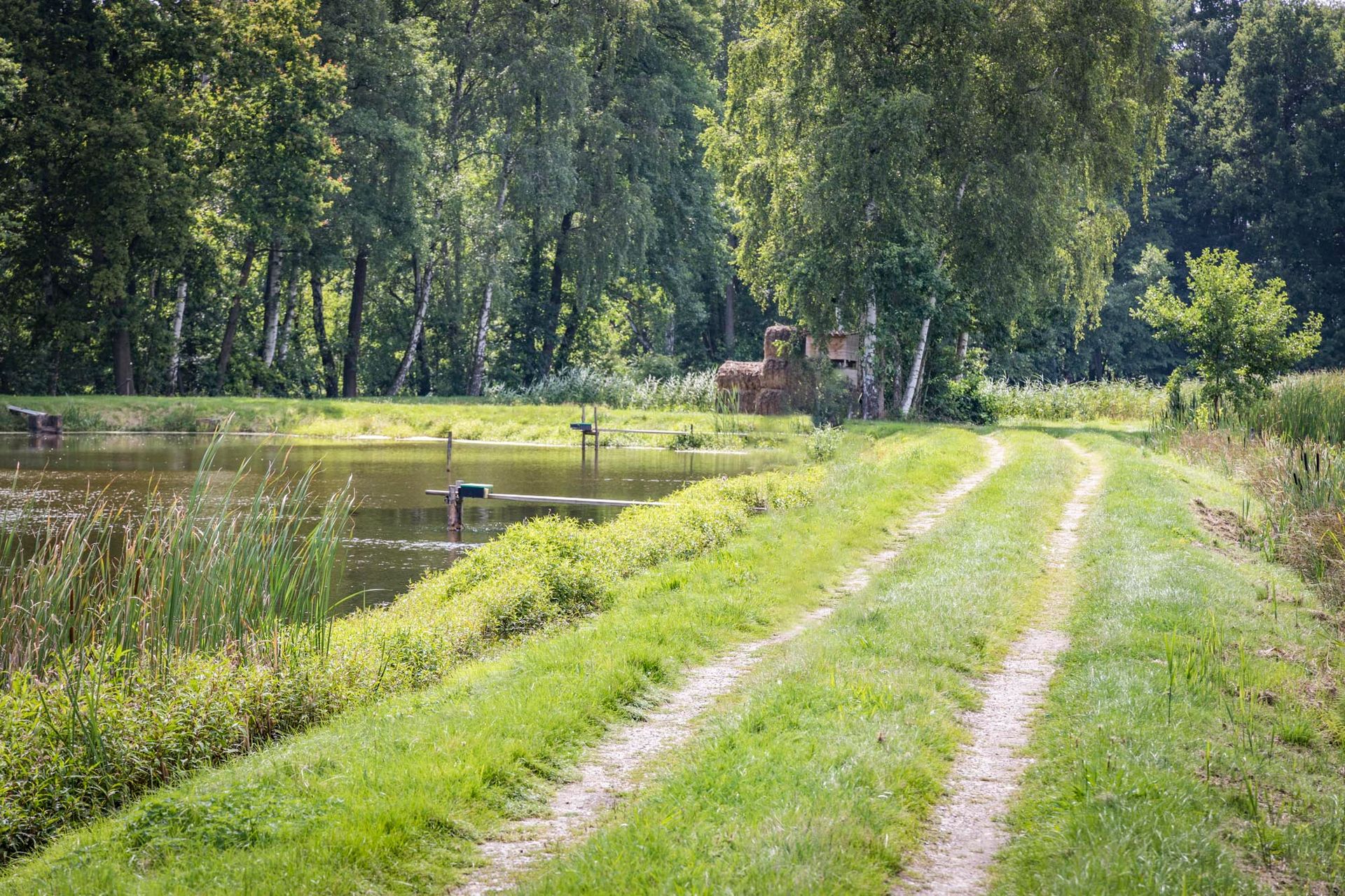 Charlottenhofer Weihergebiet