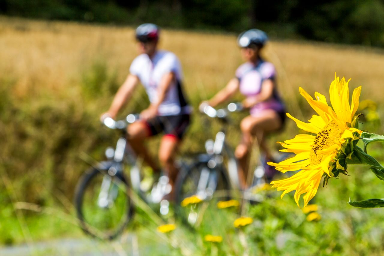 Radler am Bayerisch-Böhmischen Freundschaftsweg