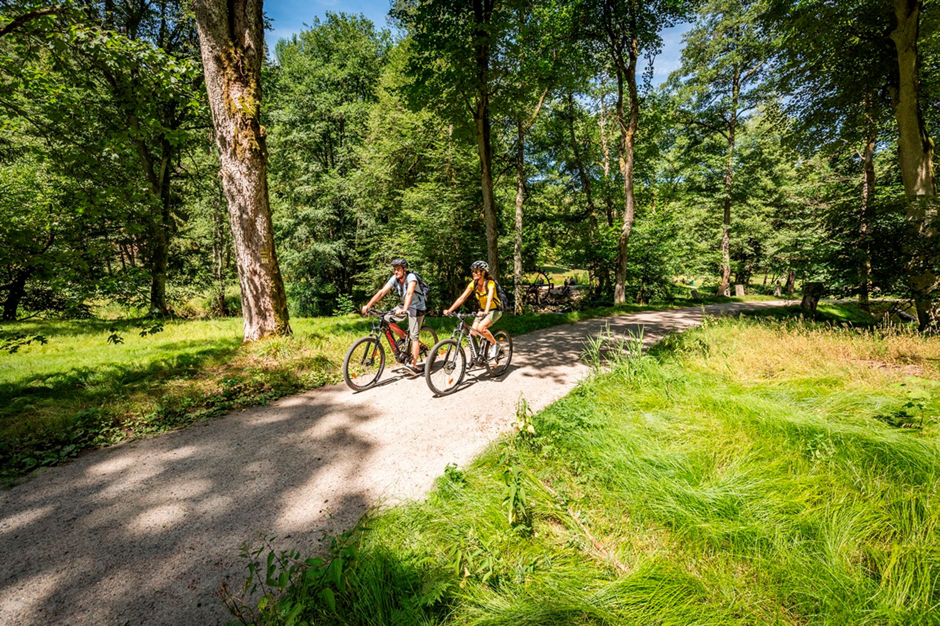 Radeln im Waldnaabtal