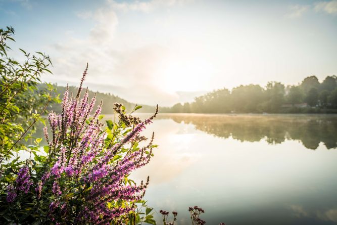 Hammersee